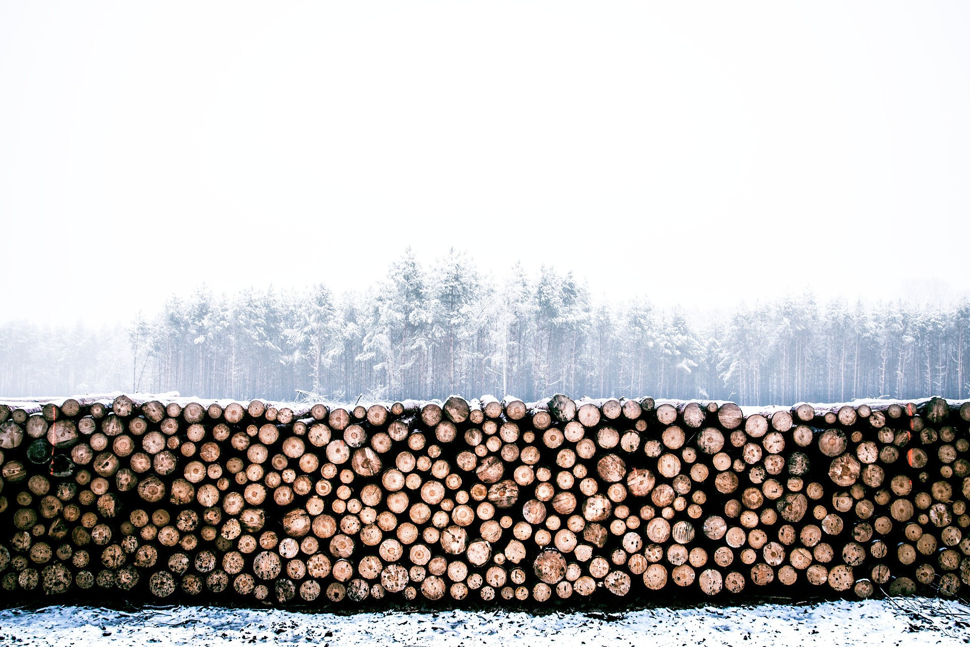 lumber 1246545 1920