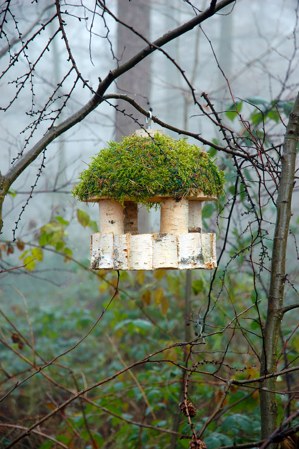 titulnabb