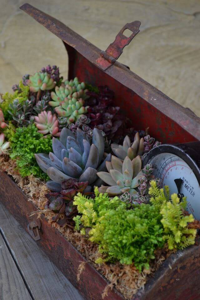 07 creative garden container ideas homebnc