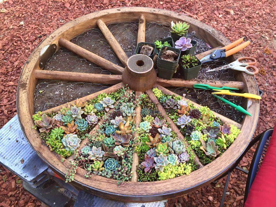 12 creative garden container ideas homebnc