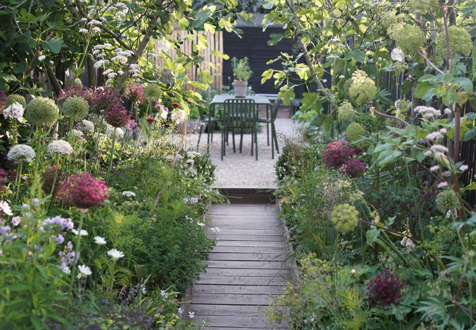 garden dining boardwalk alliums harriet farlam whitestable kent 1536x1066