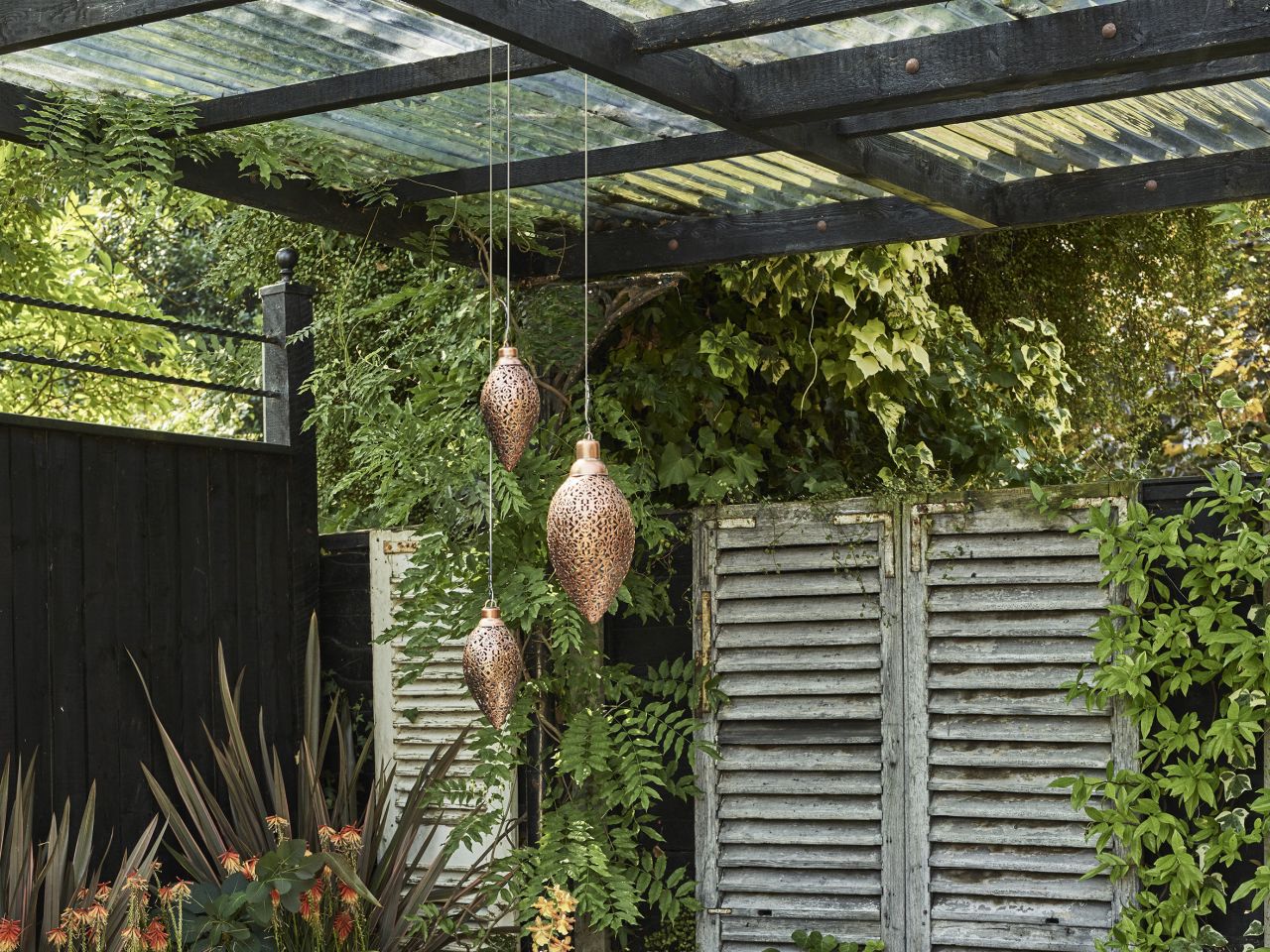 garden 4