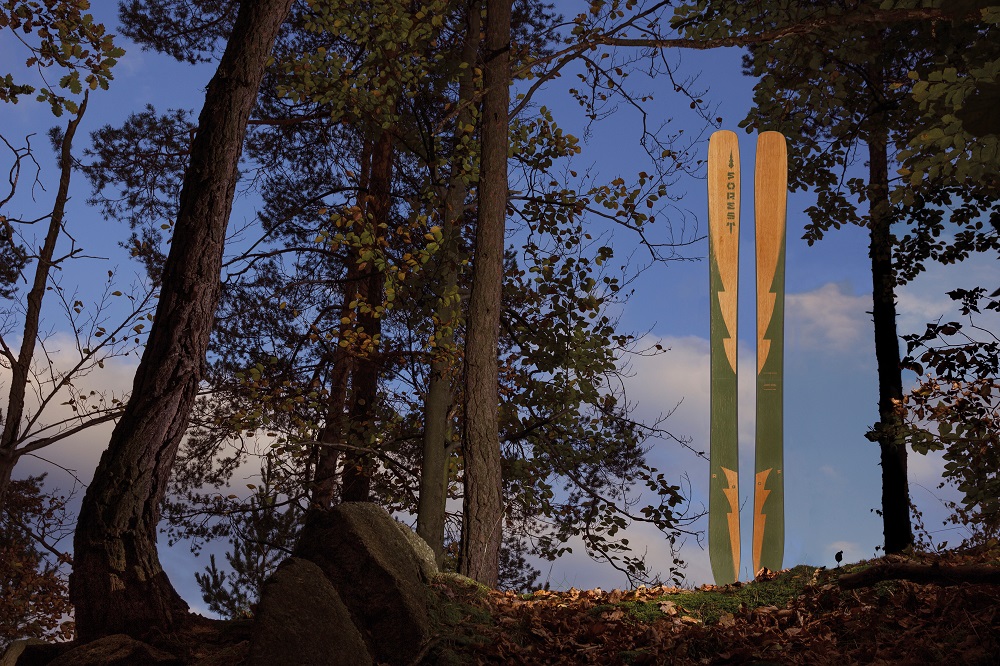 forest skis lotor woods