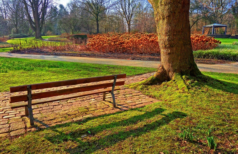 bench 3223257 1280