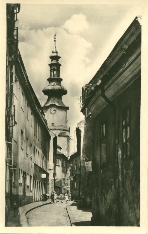 michalska veza