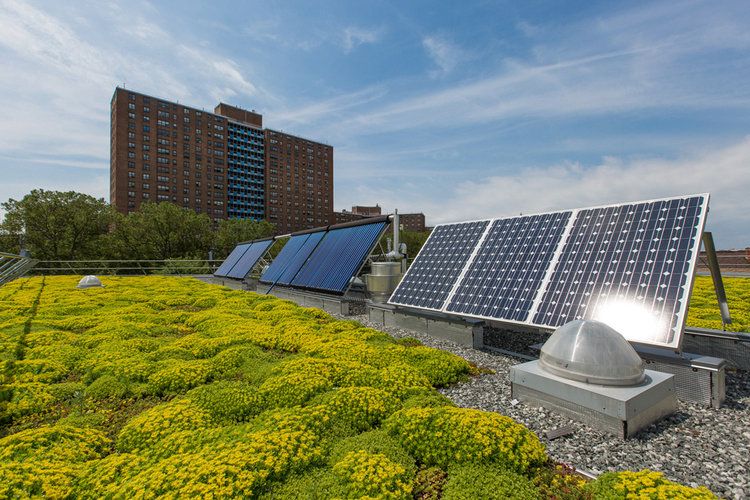 Navigating New York Citys New Green Roof Requirements Urbnder Urban Distributed Energy Resources