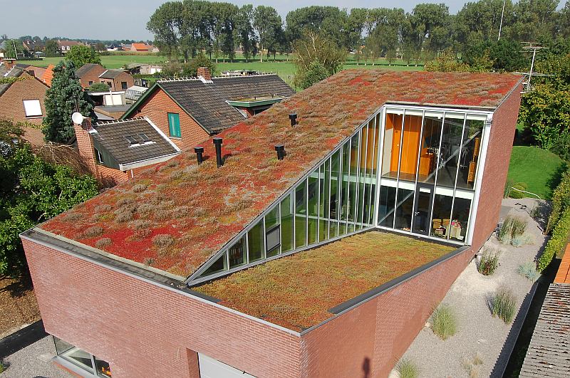 firestone green roof
