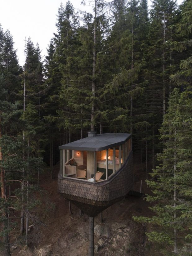woodnest spredu woodnest spredu