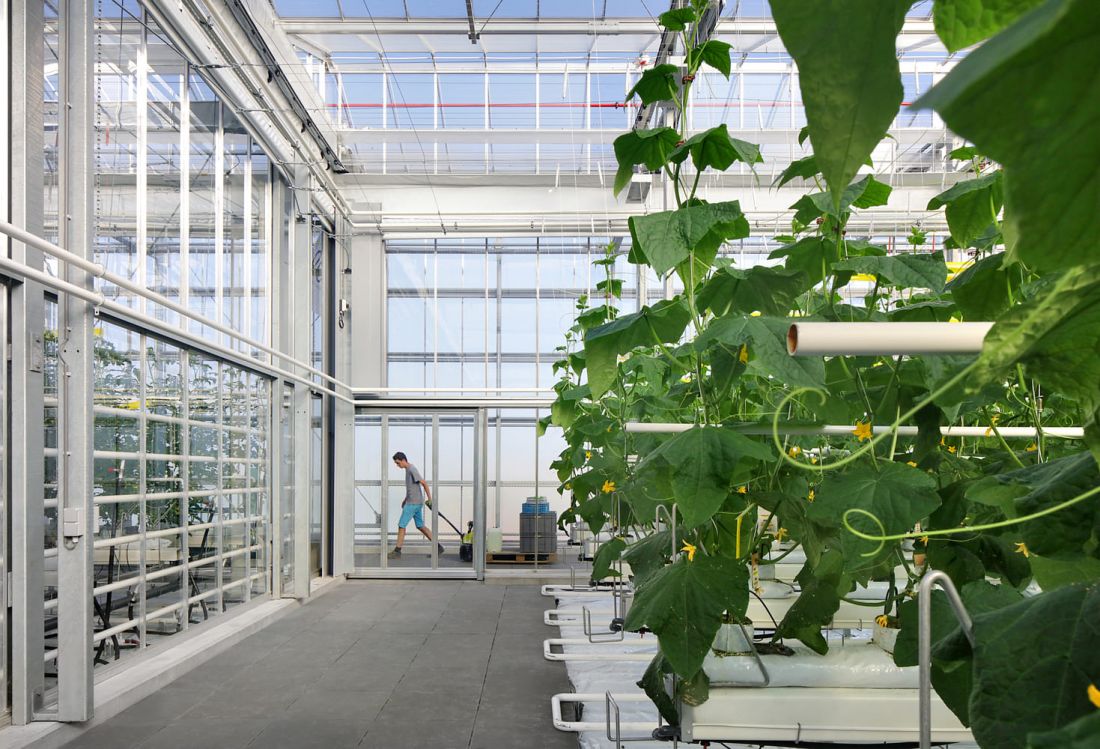 agrotopia vanbergenkolpa plus meta c filip dujardin agrotopia vanbergenkolpa plus meta c filip dujardin