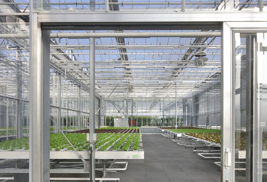 agrotopia vanbergenkolpa plus meta c filip dujardin agrotopia vanbergenkolpa plus meta c filip dujardin