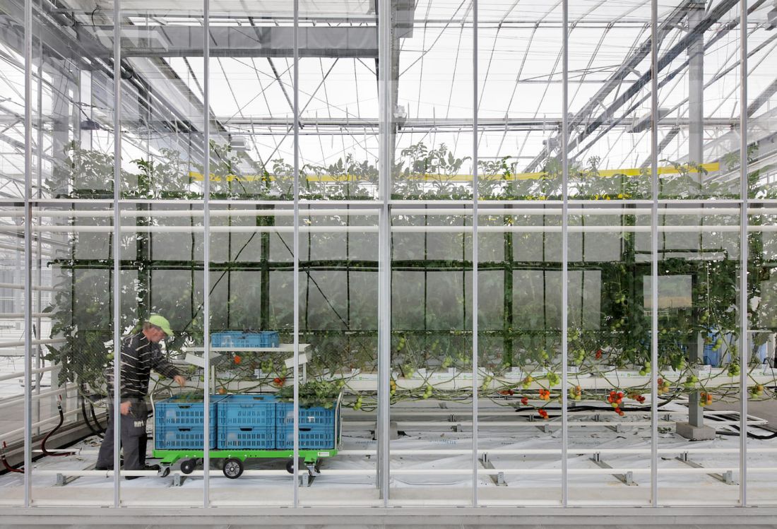 agrotopia vanbergenkolpa plus meta c filip dujardin agrotopia vanbergenkolpa plus meta c filip dujardin