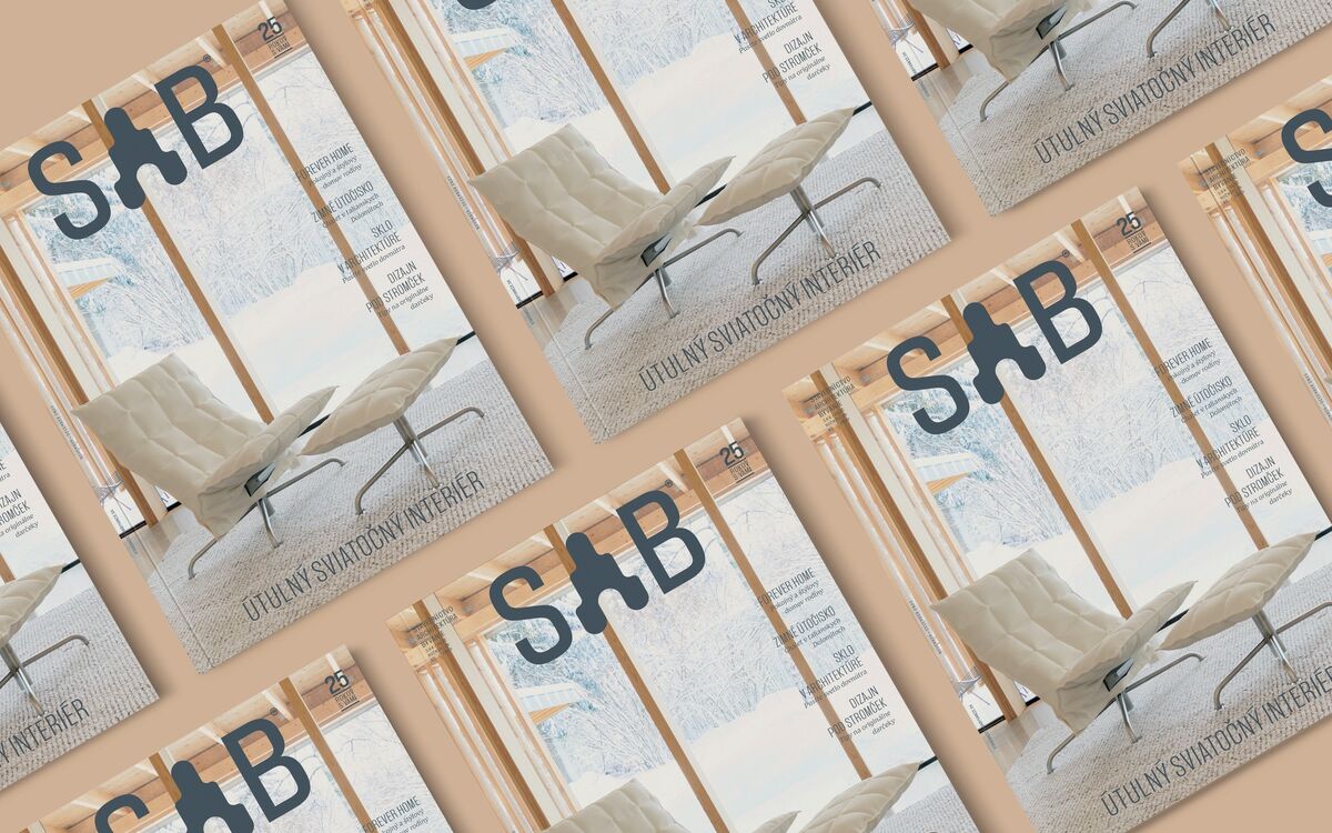 SaB cover november-december