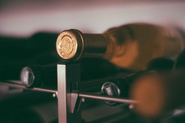 vino 3