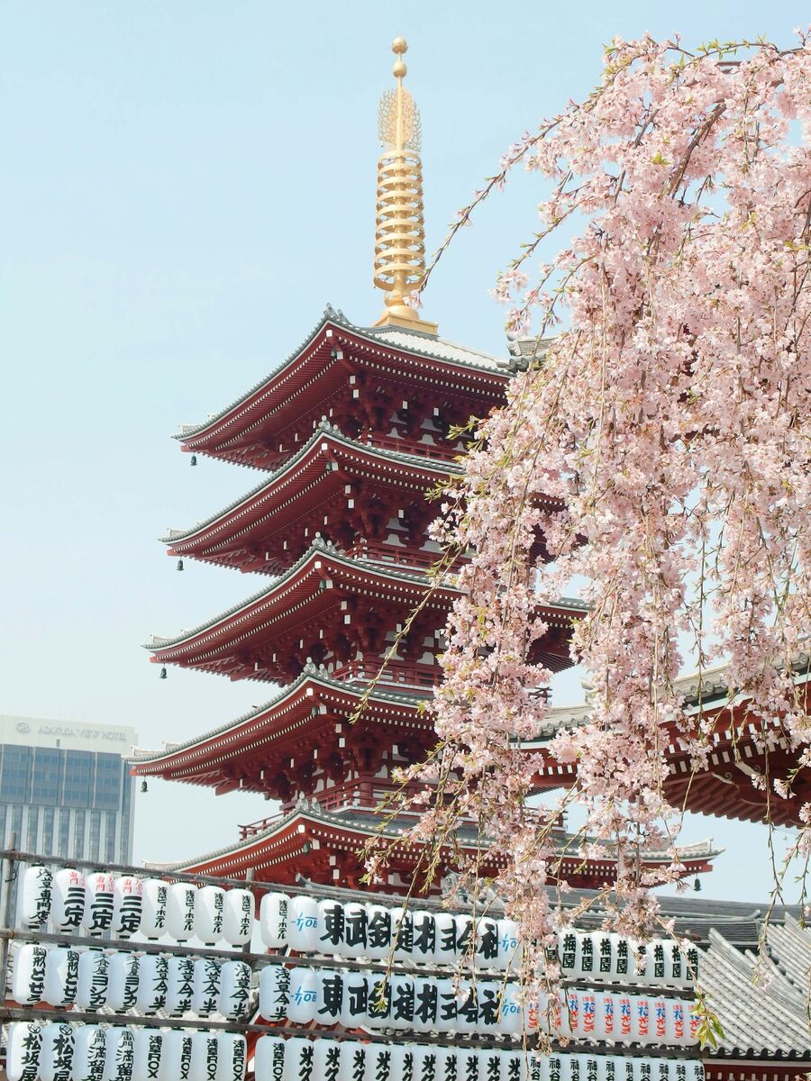 yu kato cddaZDt6uRw unsplash