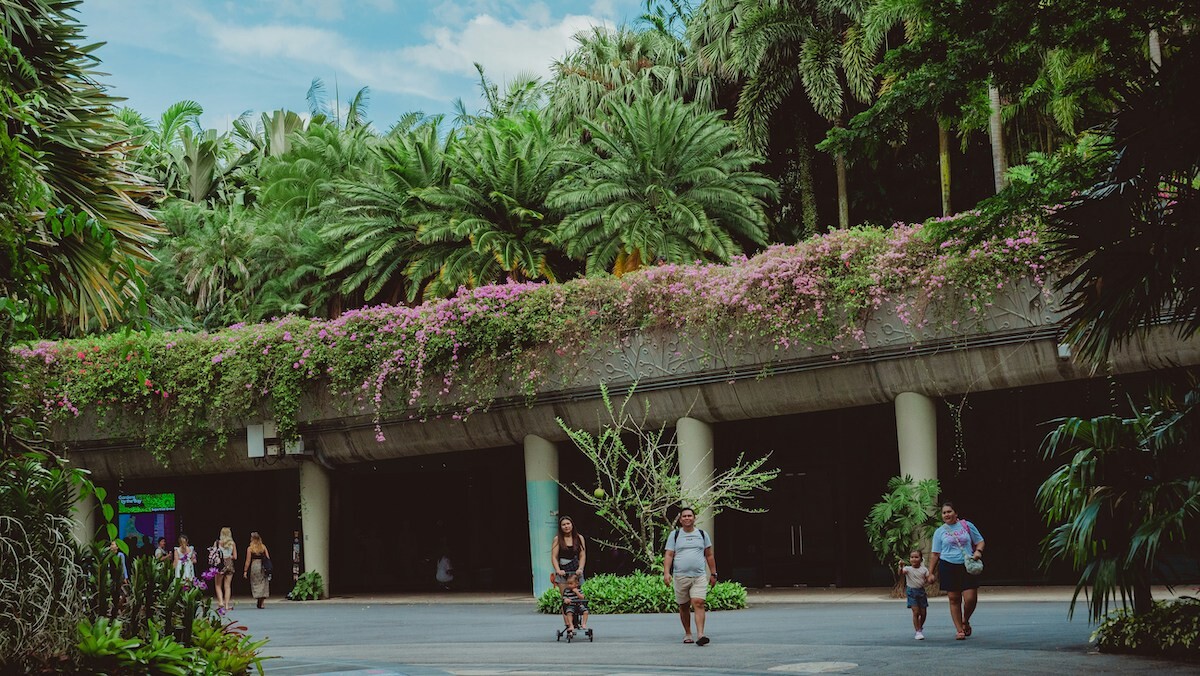 hanna lazar NOJHPLRtMro unsplash