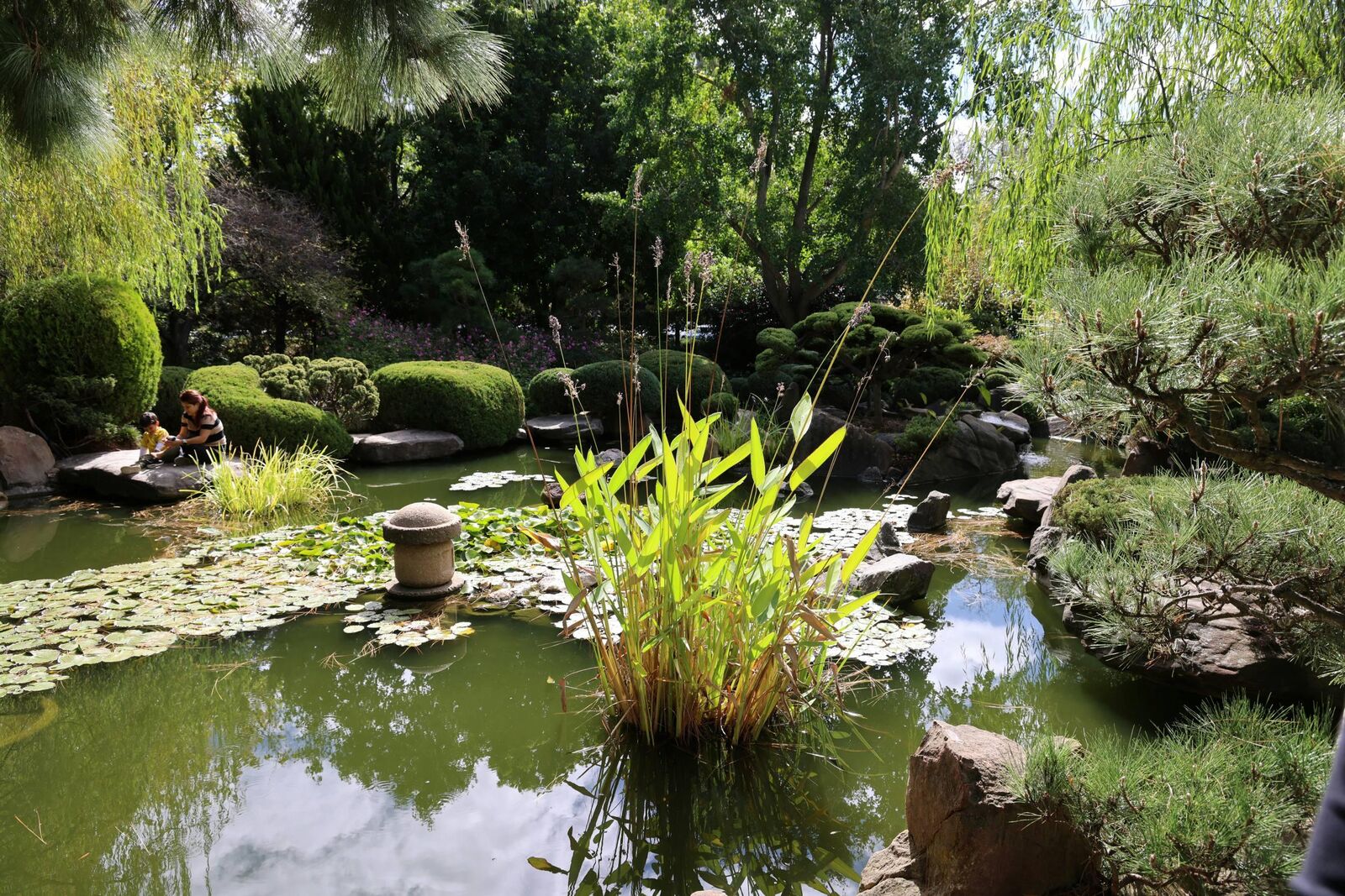 zahrada wellness 7