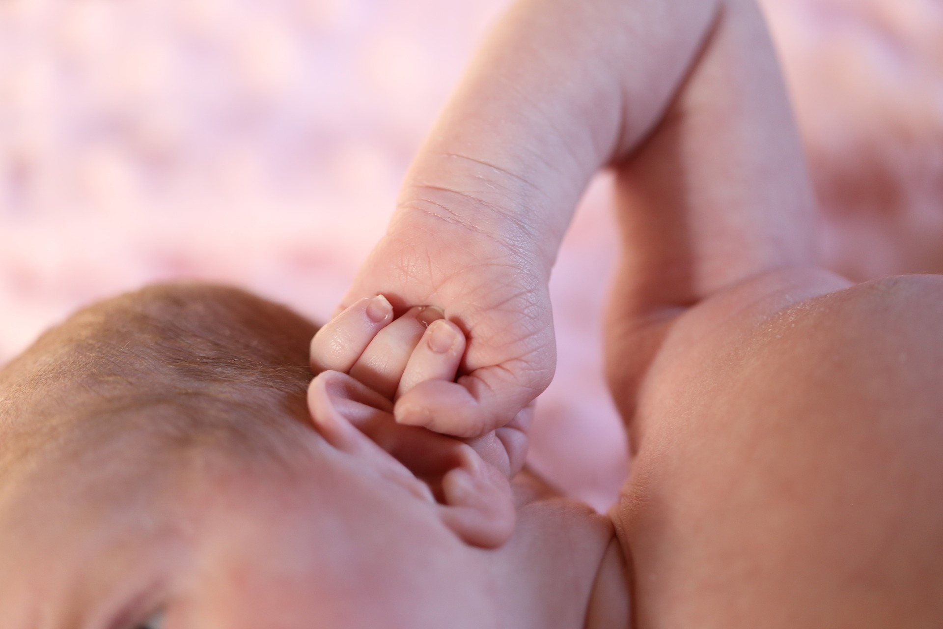 new born baby 1863964 1920