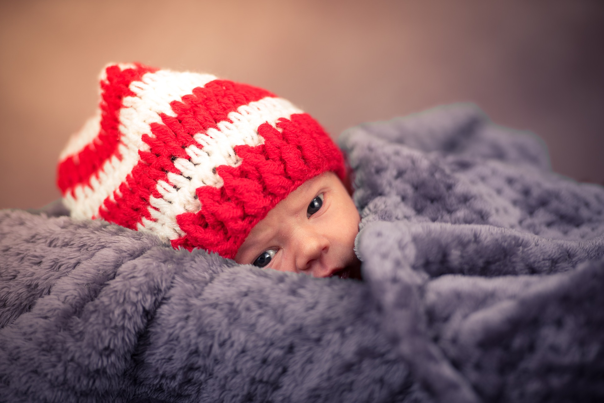 newborn photography 2036295 1920