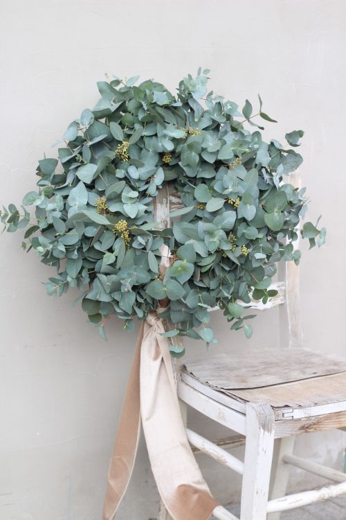 veniec od sestier eukalyptus veniec od sestier eukalyptus