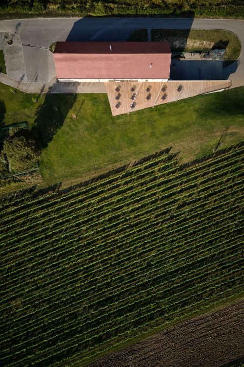 ora winebar reisten boysplaynice ora winebar reisten boysplaynice