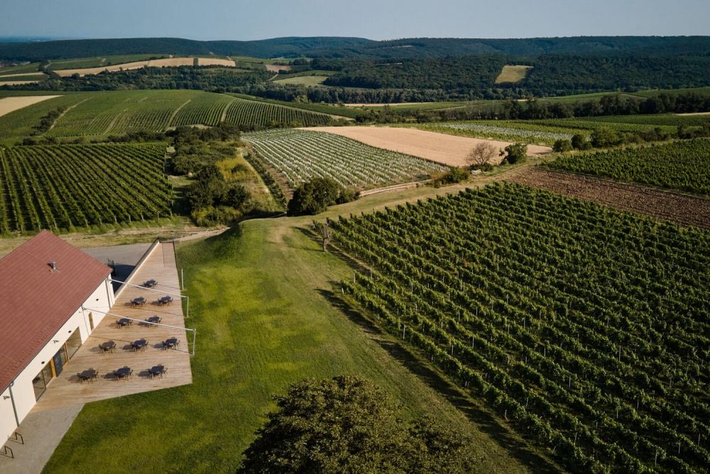ora winebar reisten boysplaynice 