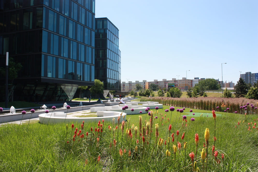 Digital park
