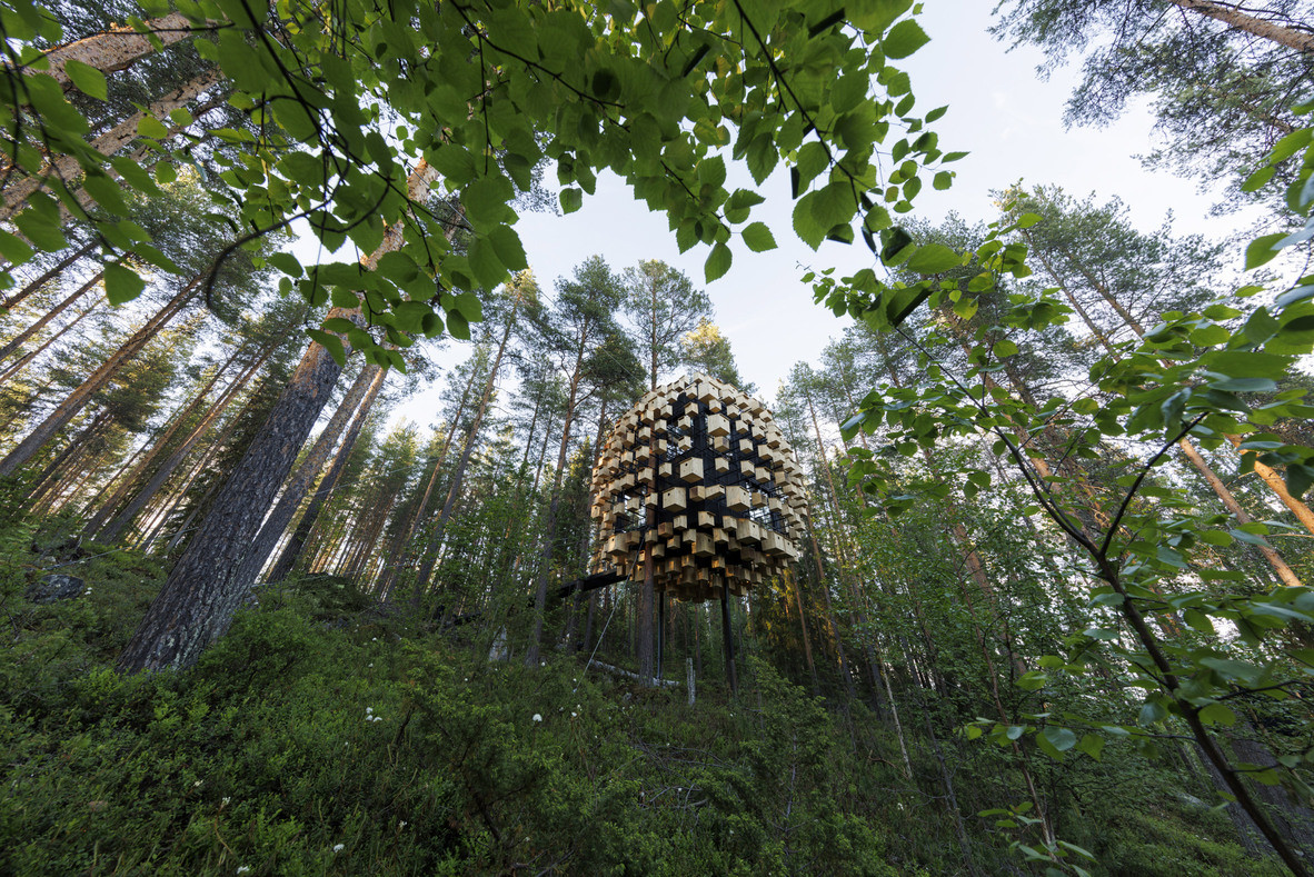 big treehouse hotel bird houses biosphere 