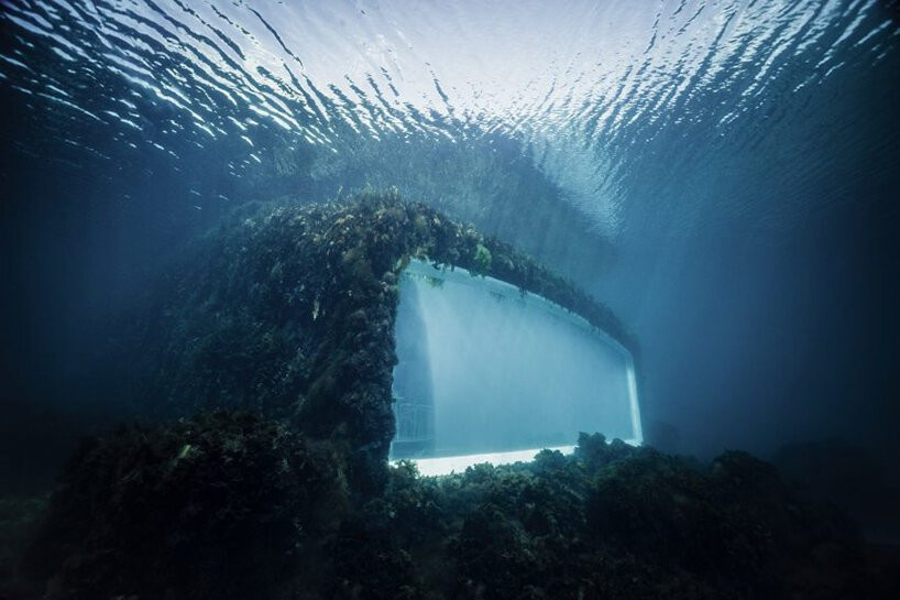 snohetta under underwater restaurant nature norway snohetta under underwater restaurant nature norway