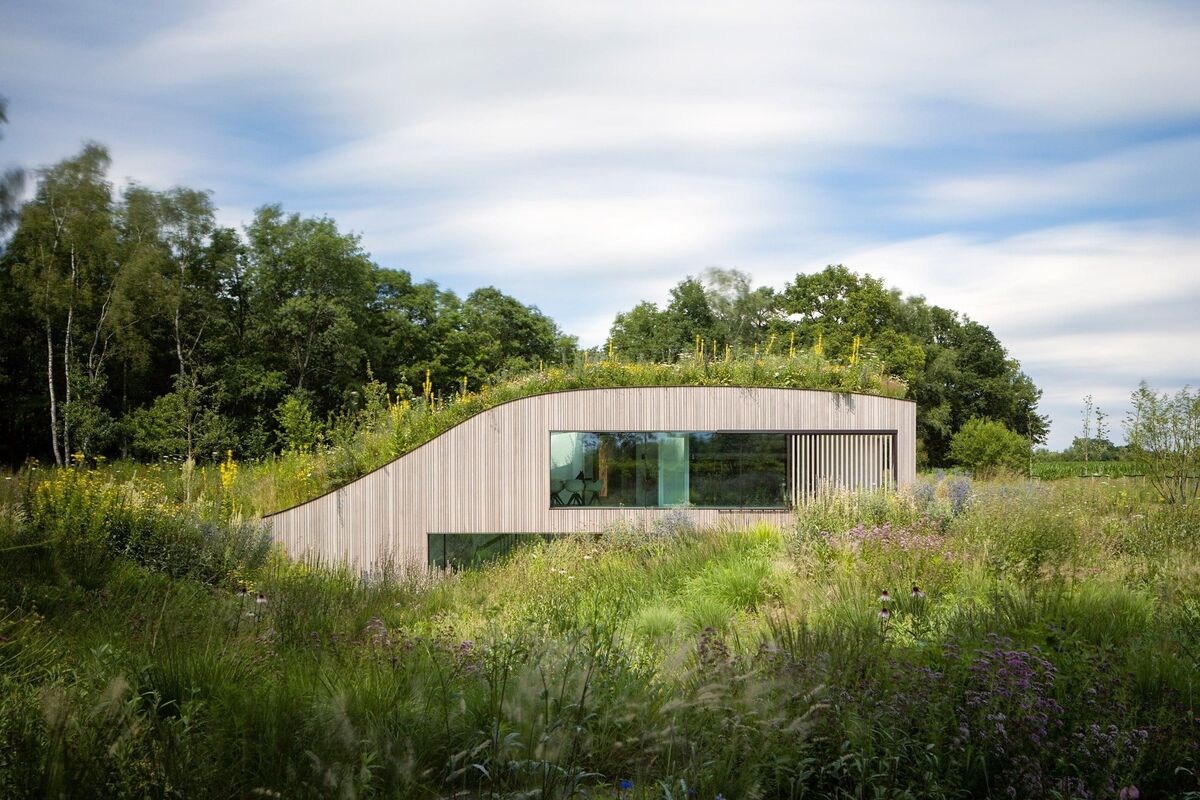 willemsenu house under ground zadny pohlad willemsenu house under ground zadny pohlad