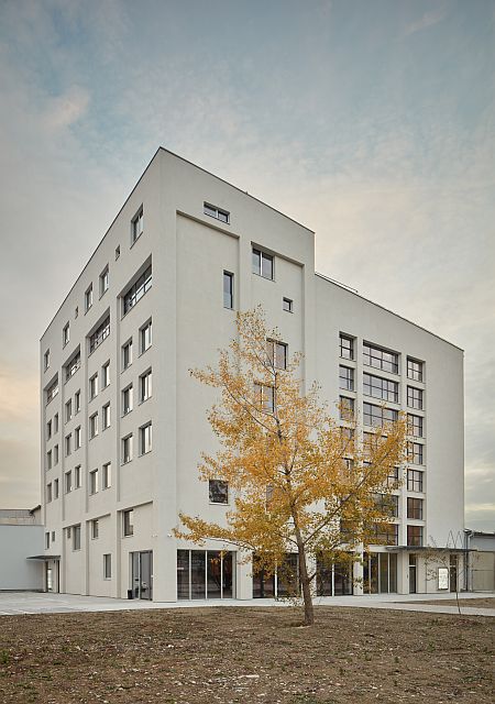 gut gut ISE Mlynica 03