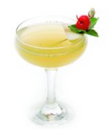 Citrus_Touch_small