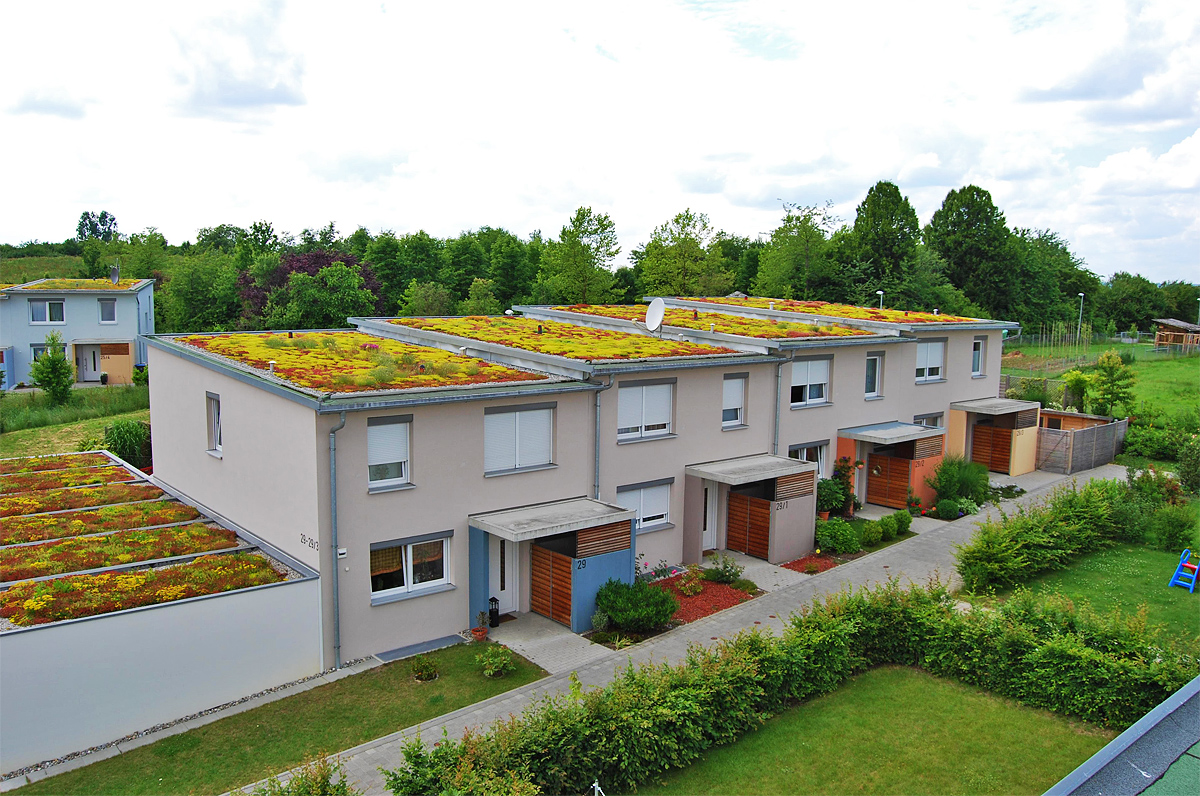 FBB-begruenung-03