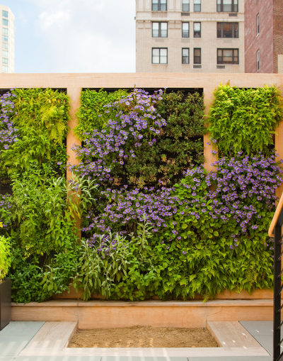 Carnegie Hill House 03