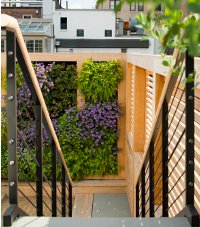Carnegie Hill House 04