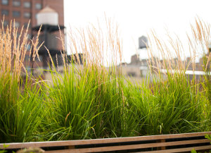 Carnegie Hill House 07