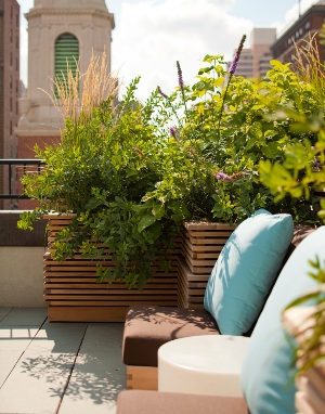 Carnegie Hill House 09