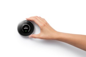 Nest 300x200
