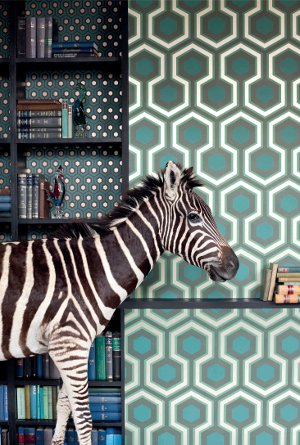 02 Cole Son - Contemporary Restyled