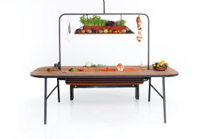 Phillips Design 300x200