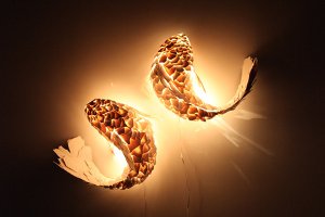 fishlamps 300x200