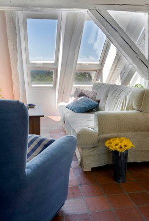 velux 03
