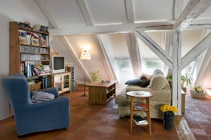 velux 300x200