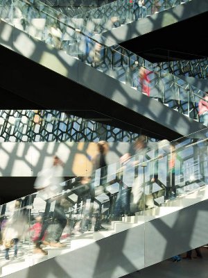 Harpa 04