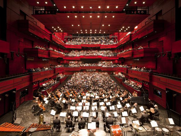 Harpa 06