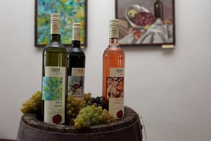 Vitis 300x200