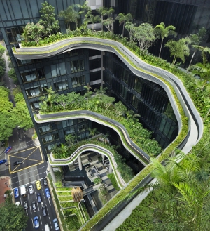 WAN13 15 parkroyal