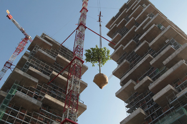 bosco verticale 02