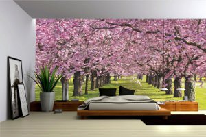 Impoltrade 300x200