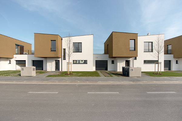slnecnice 04