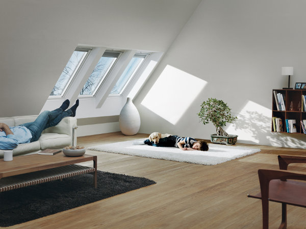 Krokovy hluk Velux